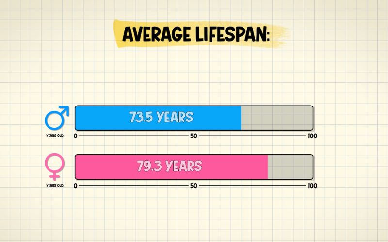 average lifespan for men and women chart