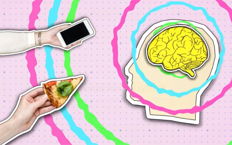 dopamine representation in the brain